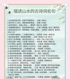 树林