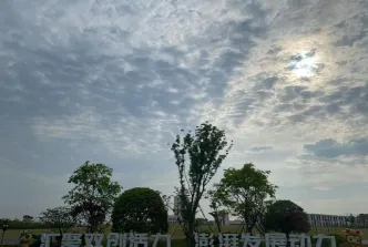 领域