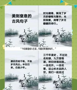 国色芳华