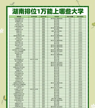 报考
