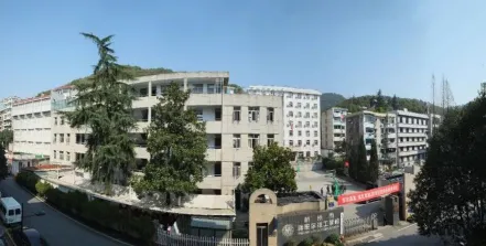 专业
