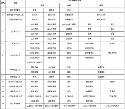 等级资料