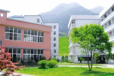 学校