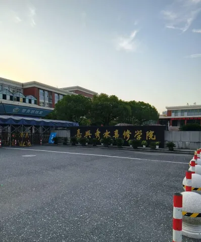 专业