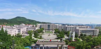 专业