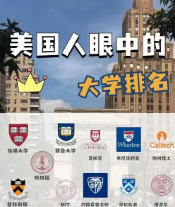 专业