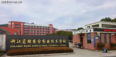 学校