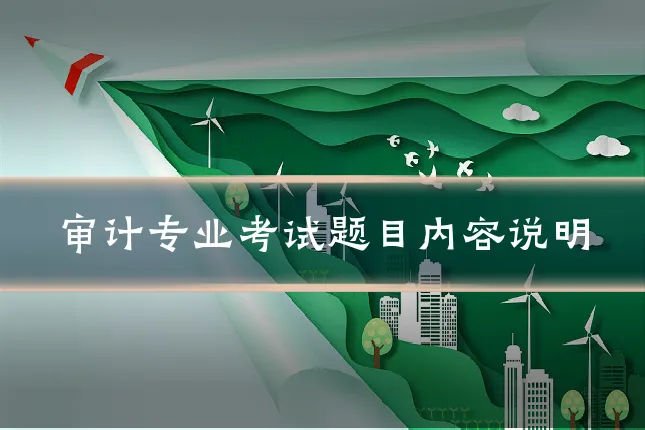 审计专业考试题目内容说明