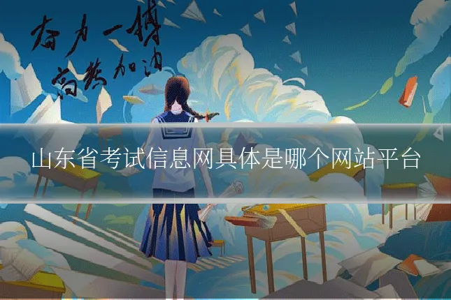 山东省考试信息网具体是哪个网站平台