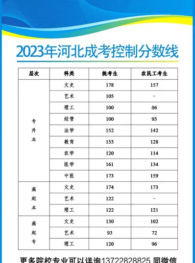 专业