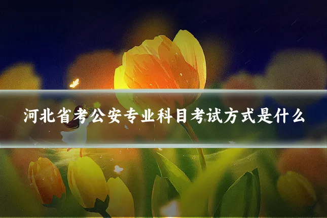 河北省考公安专业科目考试方式是什么