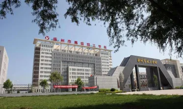 专业