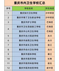 本科教育