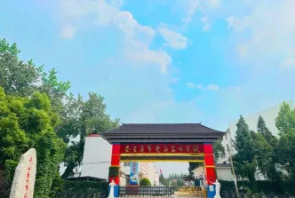学习