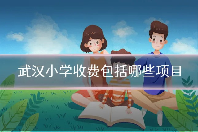 武汉小学收费包括哪些项目