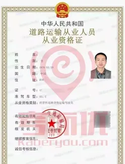 职业
