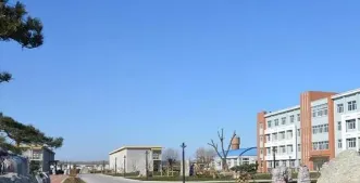 专业