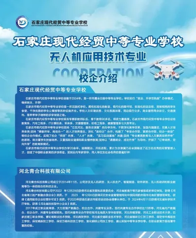 能力