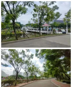 环境监测
