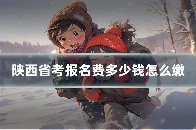 陕西省考报名费多少钱怎么缴