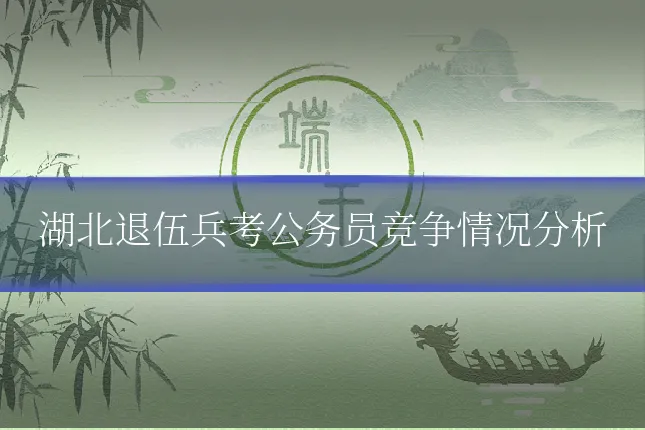 湖北退伍兵考公务员竞争情况分析