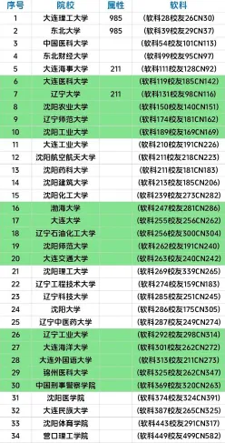 网络教育