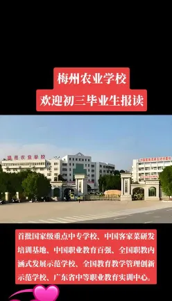 技术