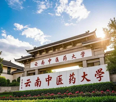 中医药大学