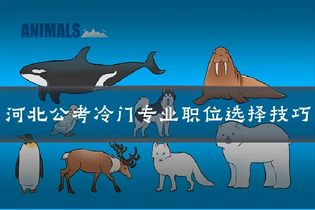 河北公考冷门专业职位选择技巧