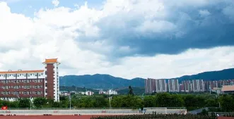 专业