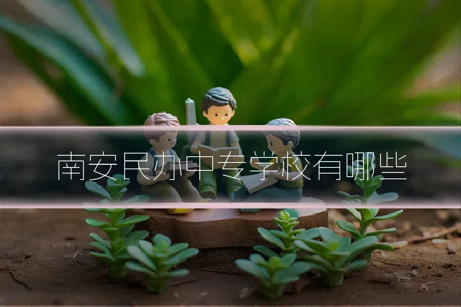南安民办中专学校有哪些