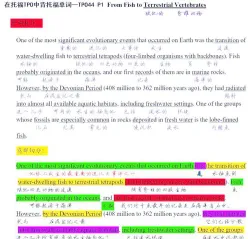 记忆