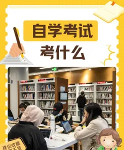专业