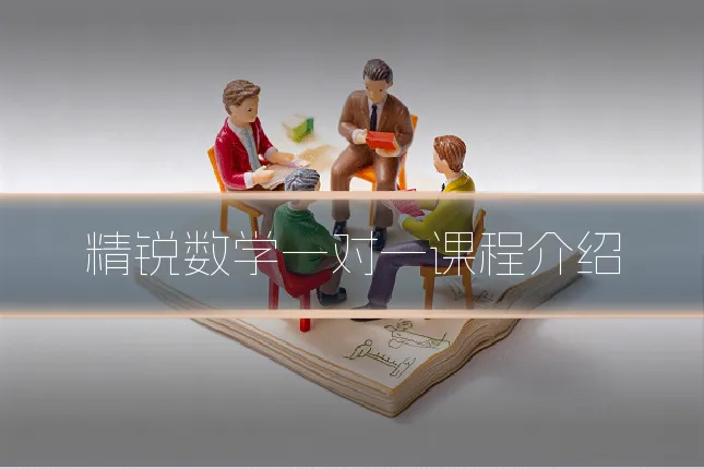 精锐数学一对一课程介绍