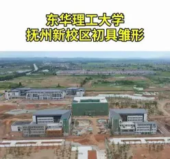 学历层次