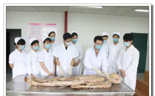 病理解剖学