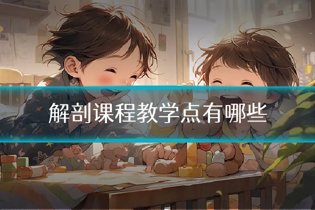 解剖课程教学点有哪些
