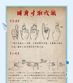学习中医