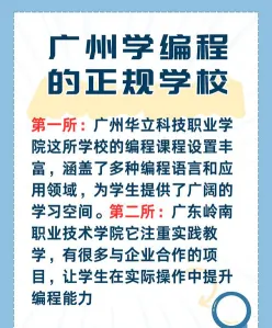 编程教育