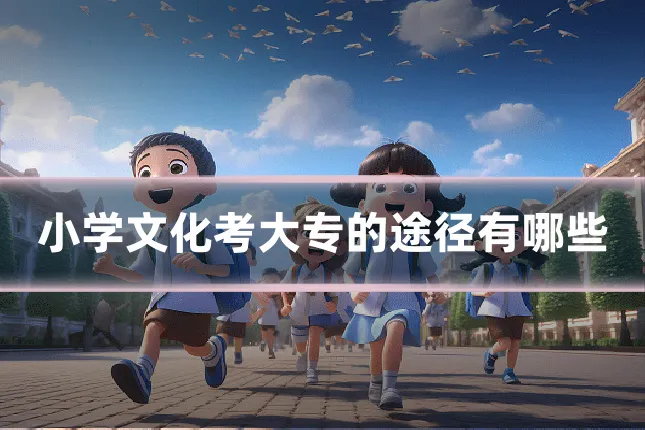 小学文化考大专的途径有哪些