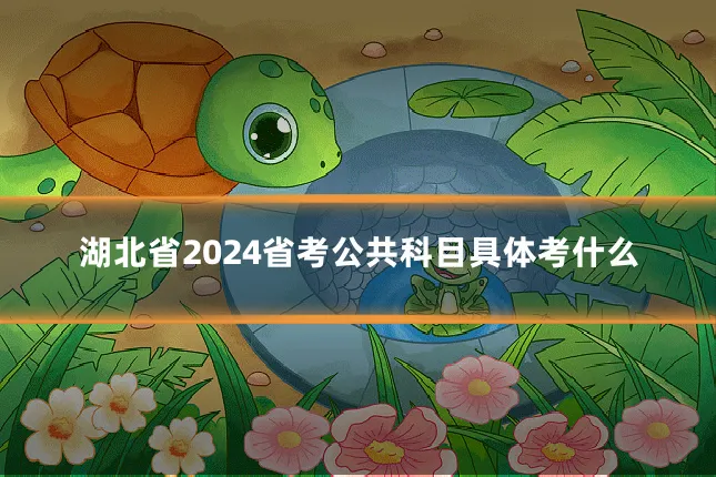 湖北省2024省考公共科目具体考什么