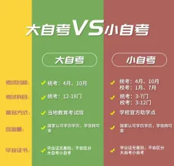 大自考