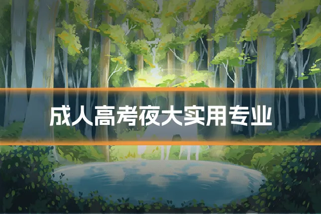 成人高考夜大实用专业