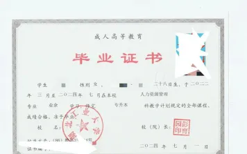 大学选择