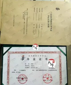 大自考