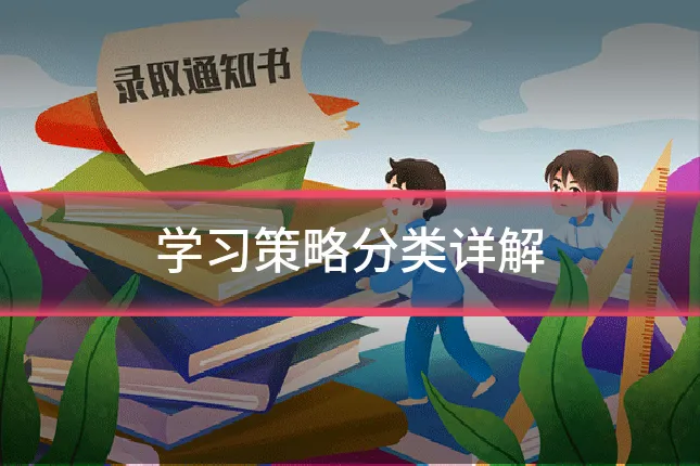 学习策略分类详解