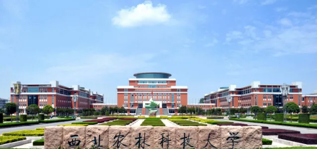 北校区
