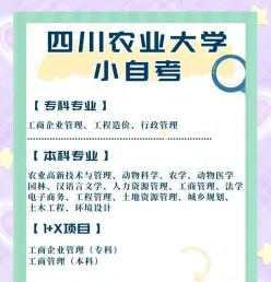 报名时间
