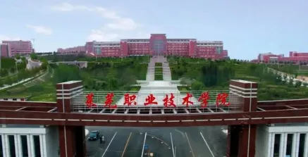 高职院校