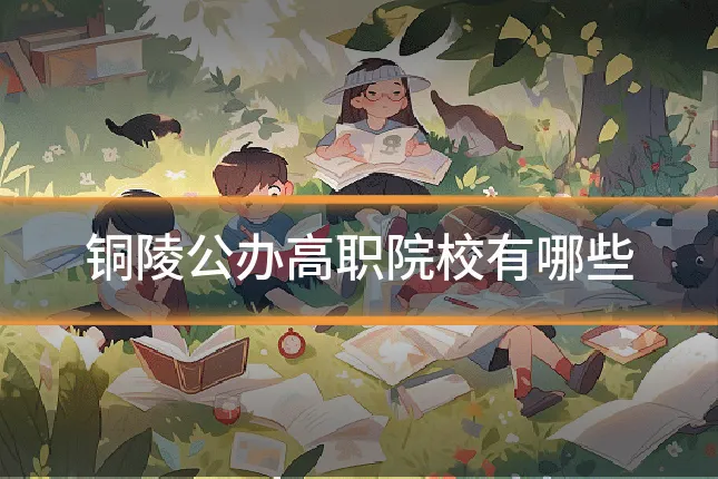 铜陵公办高职院校有哪些